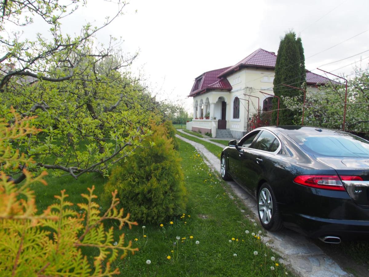 Argeselu Garden Villa - Entire Floor Apartment, Exclusive Garden Access Maracineni Eksteriør billede