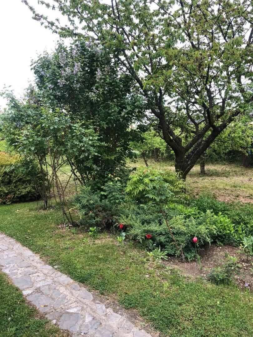 Argeselu Garden Villa - Entire Floor Apartment, Exclusive Garden Access Maracineni Eksteriør billede
