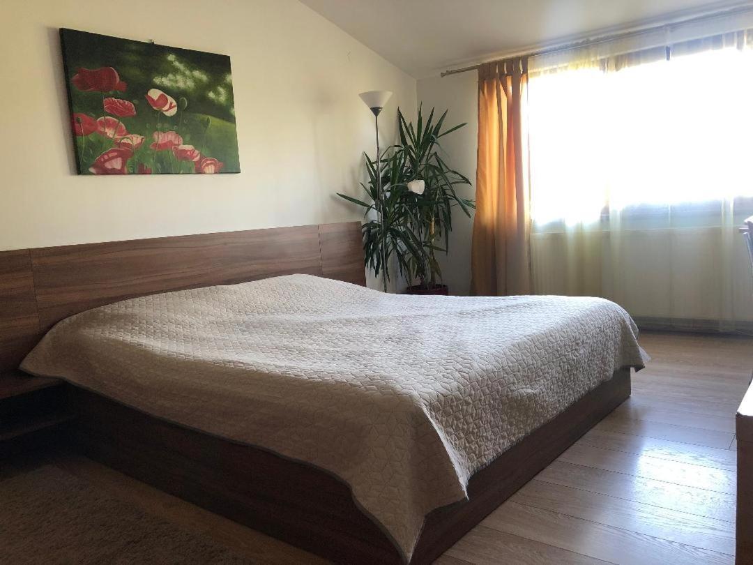 Argeselu Garden Villa - Entire Floor Apartment, Exclusive Garden Access Maracineni Eksteriør billede