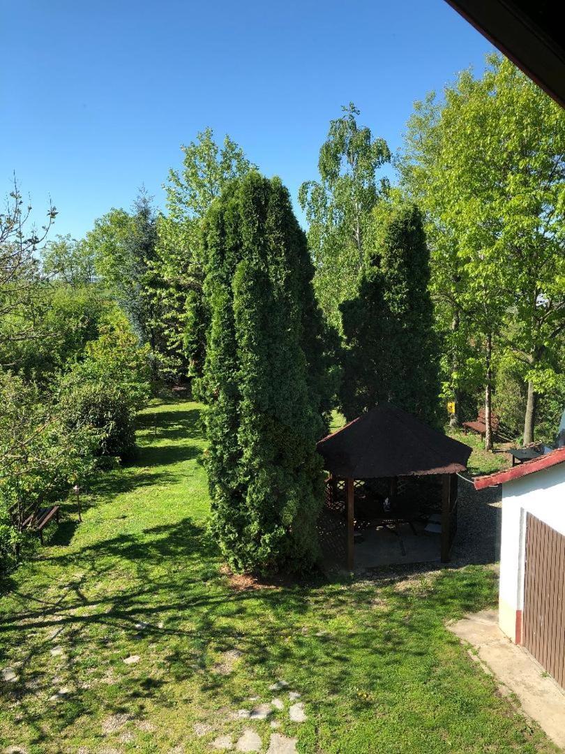 Argeselu Garden Villa - Entire Floor Apartment, Exclusive Garden Access Maracineni Eksteriør billede